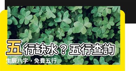 本命屬土|免費生辰八字五行屬性查詢、算命、分析命盤喜用神、喜忌